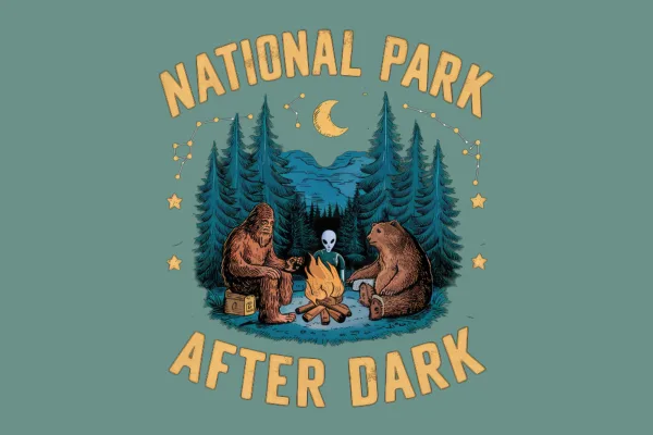National Park After Dark