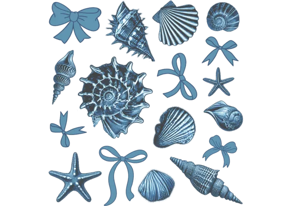 Seashell Collage