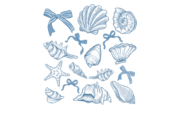 Coastal Seashells