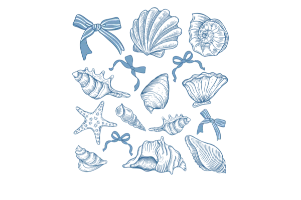Coastal Seashells
