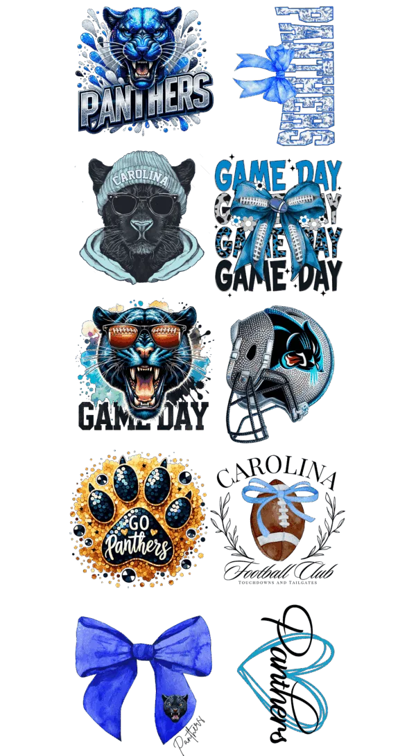 Pre-Made Panthers gang 22x60