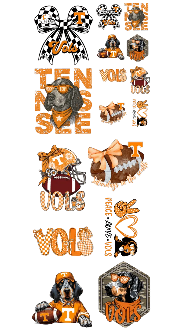 Pre-Made Vol Gang 22x60